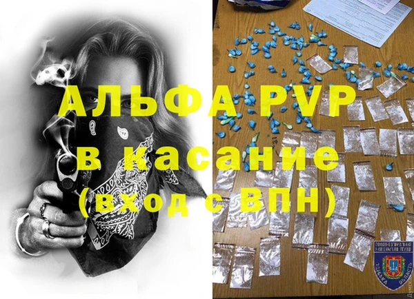 сатива Абаза