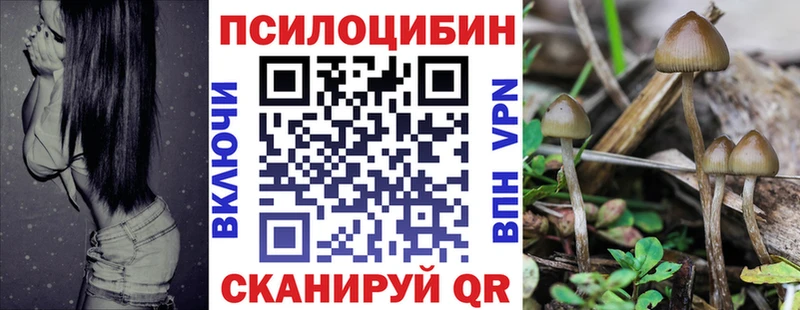 Псилоцибиновые грибы Psilocybine cubensis  наркотики  Алагир 