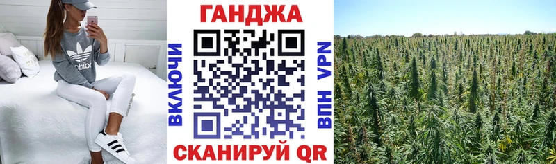 цена наркотик  Алагир  Бошки марихуана планчик 